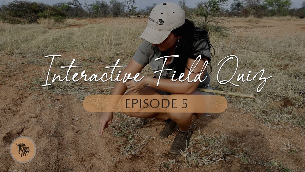 Interactive Field Observation Episode 5 l EcoTraining