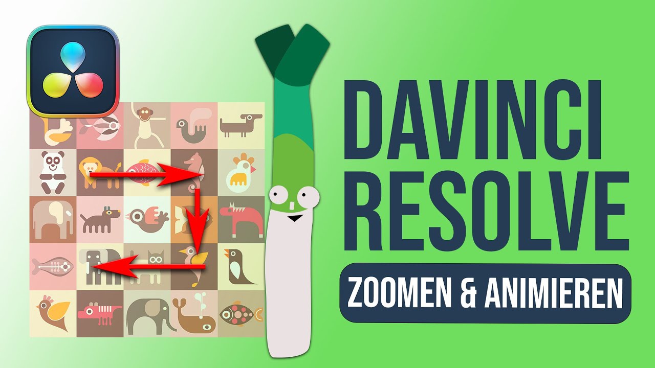 DaVinci Resolve Tutorial - Animation: An Video zoomen