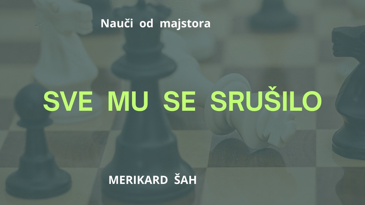 BILO  JE  BRZO  I  EFIKASNO...