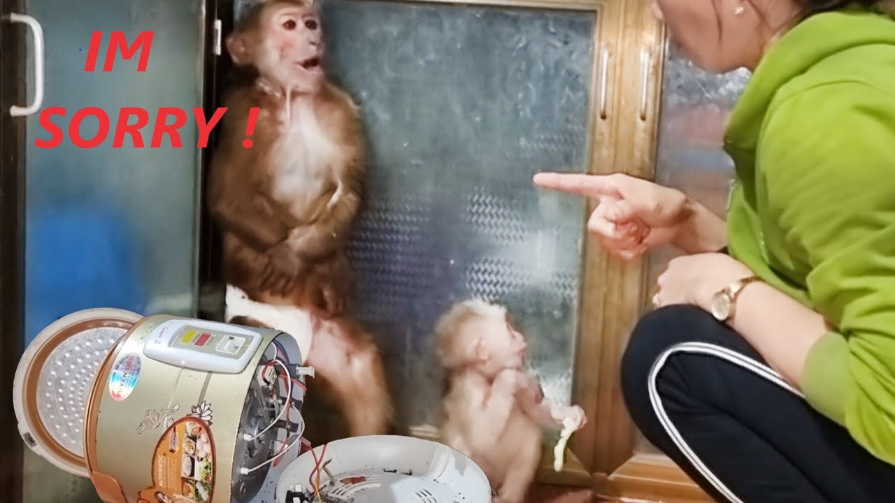 Mom Uses Harsh Punishments On Abu Damaged