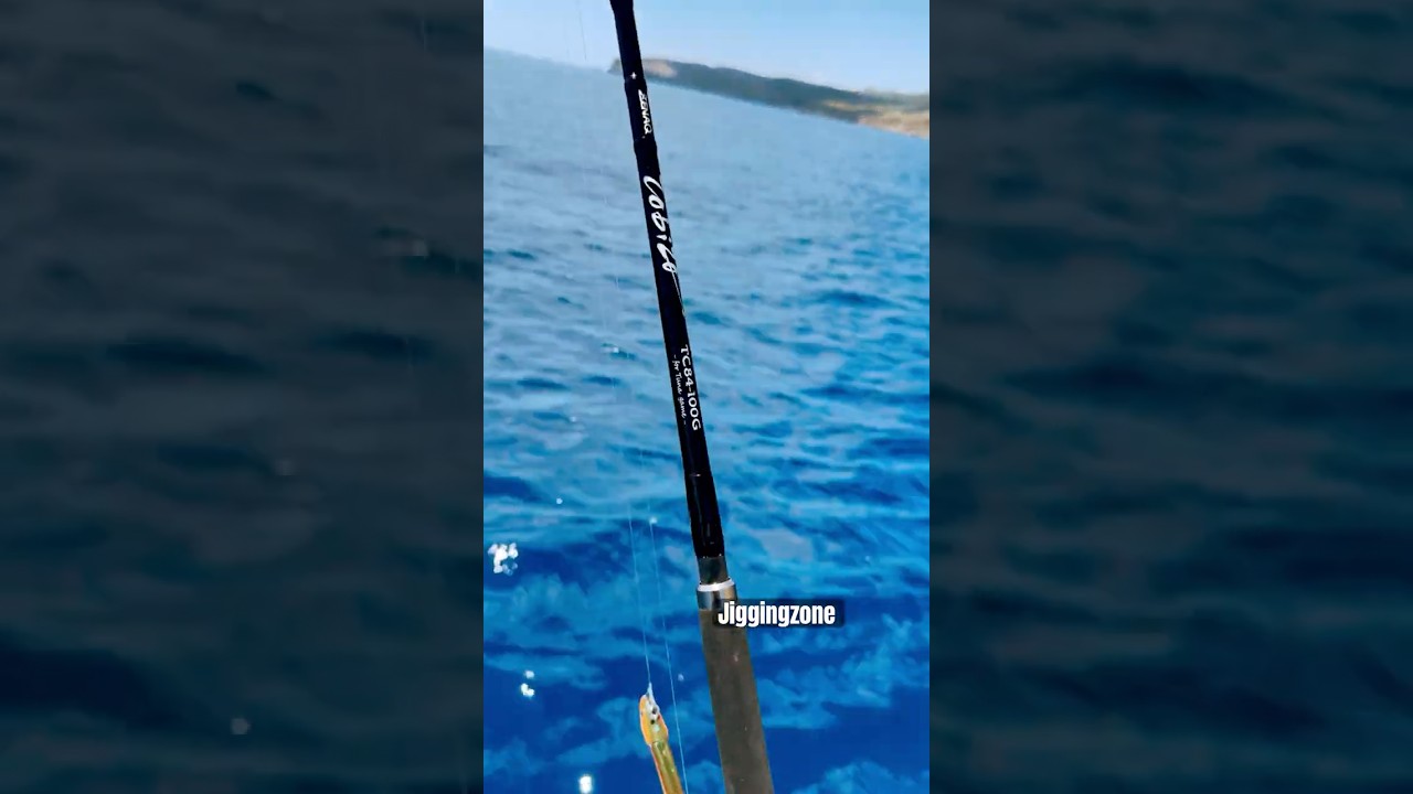ZENAQ TOBIZO SHIMANO TWIN POWER PALMS METAL WITCH DAIWA SALTIGA DREAM SETUPS #mancing #jigging #jig