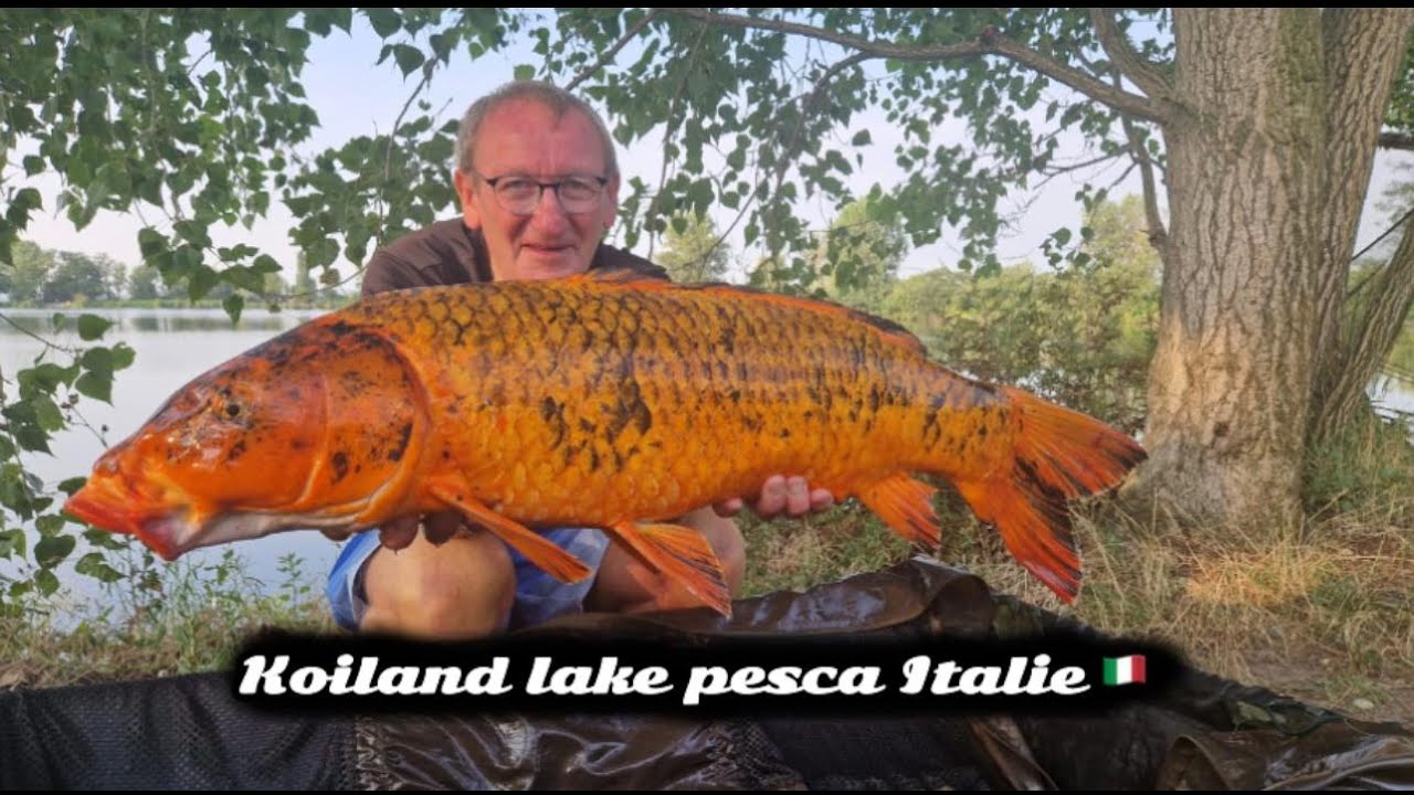 KOILAND LAKE PESCA ITALIE