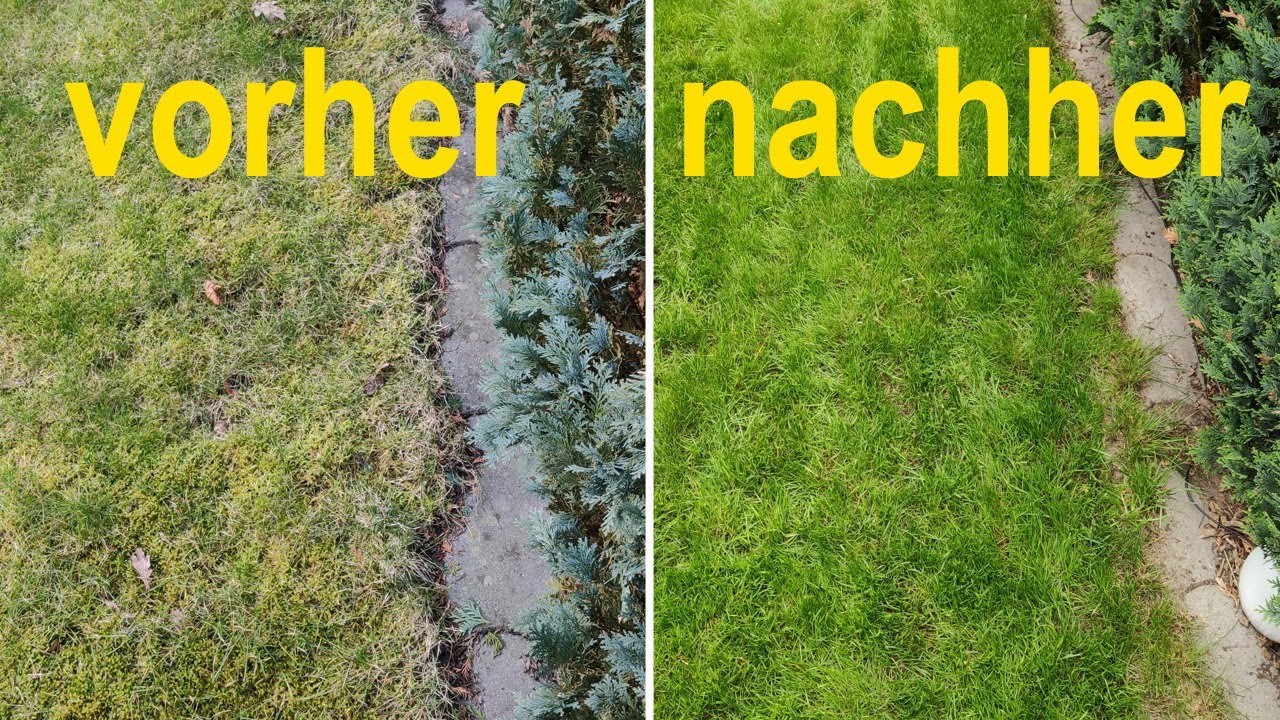 Moos im Rasen entfernen und nachs&auml;en (Schritt f&uuml;r Schritt Anleitung)