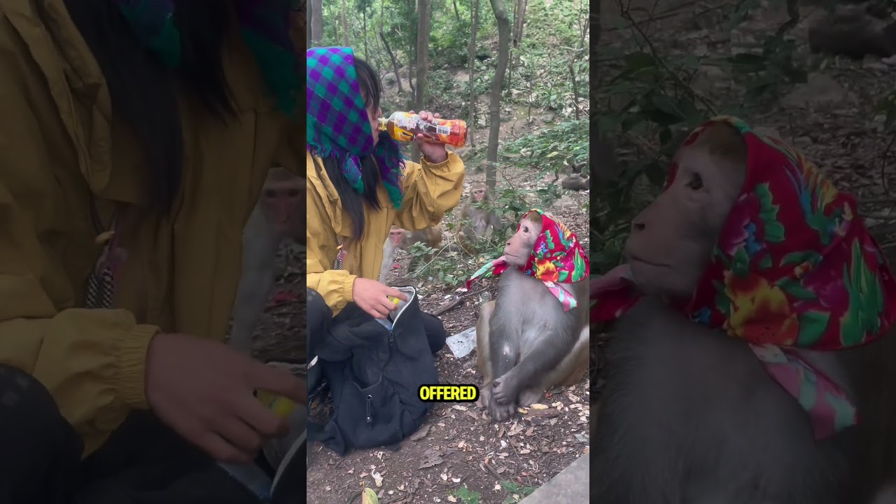 #thirstymonkey#bekind#animals