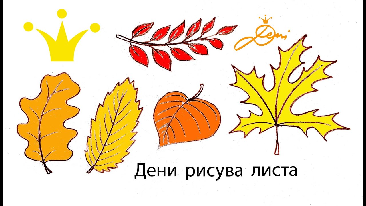 Kак се рисуват листа за оцветяване бързо и лесно с Дени 🌿