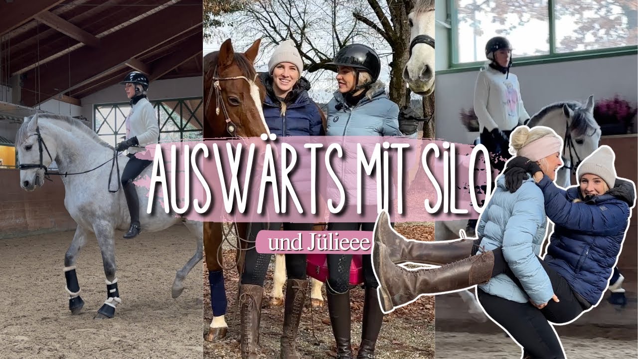Ausflug ins Ungewisse😂😨 #equestrian #horse 