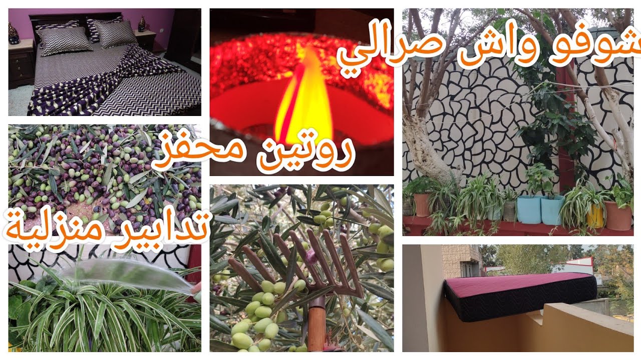 شوفو واش صرالي❔❔روتين تحفيزي 🍀☘️مع  تدابير تنفعكم