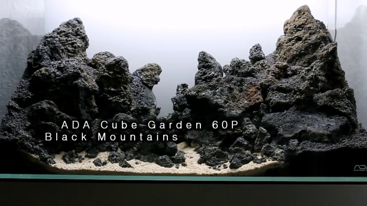 Iwagumi/Diorama Aquascape with Lavarocks 