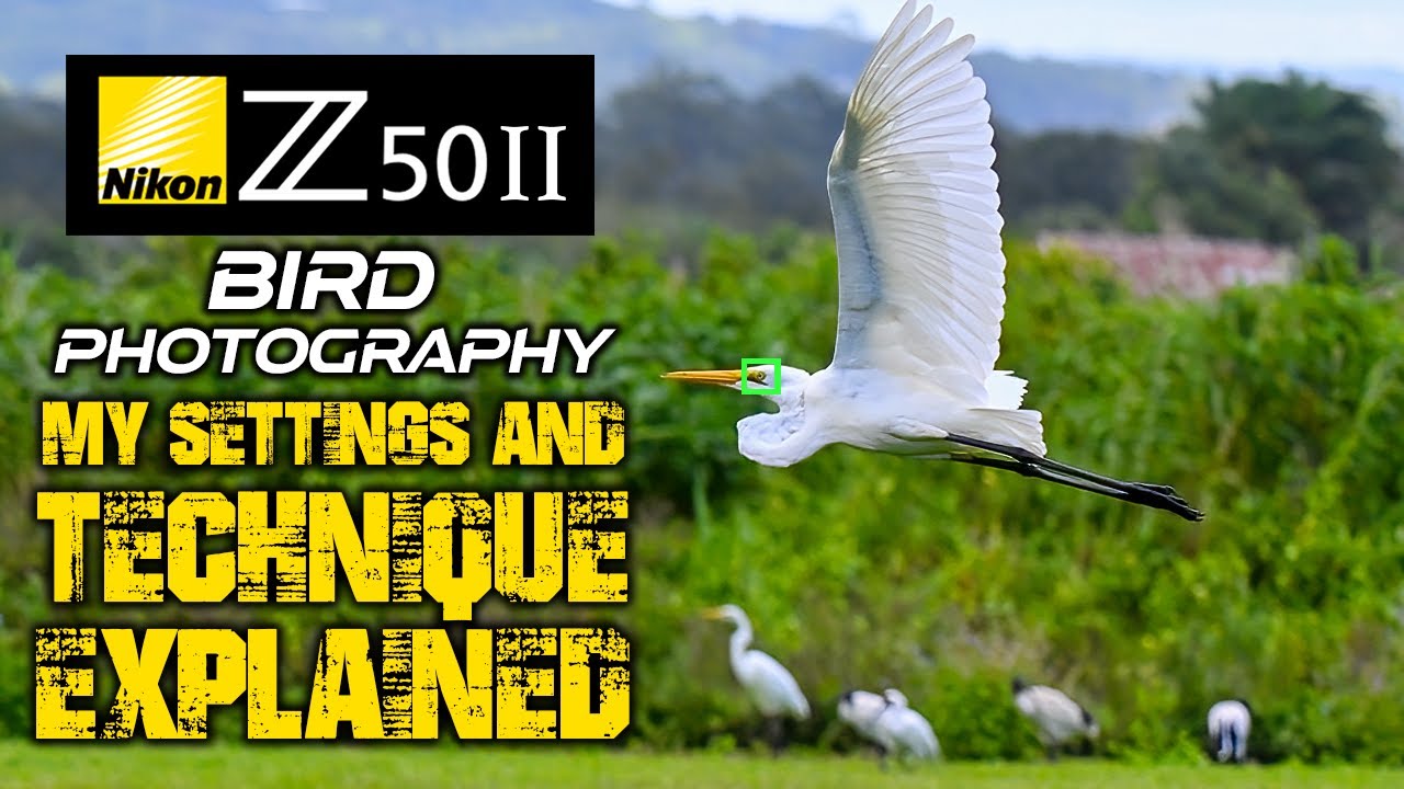 Nikon Z50II Bird Photography | My SETTINGS And TECHNIQUE Explained!