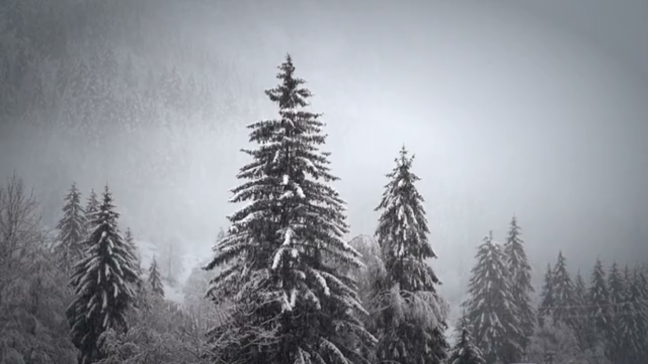 snow fall video#snowfall #status #short