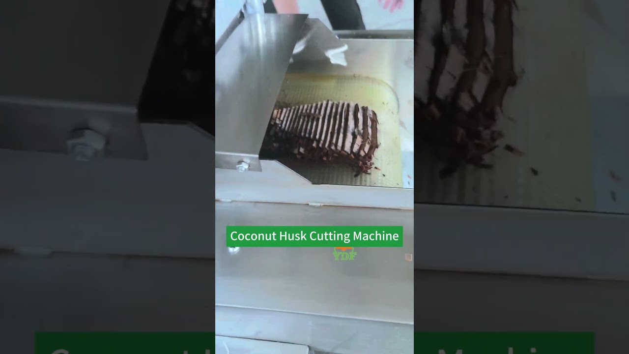 Coconut husk cutting machine #agriculture #cocochip
