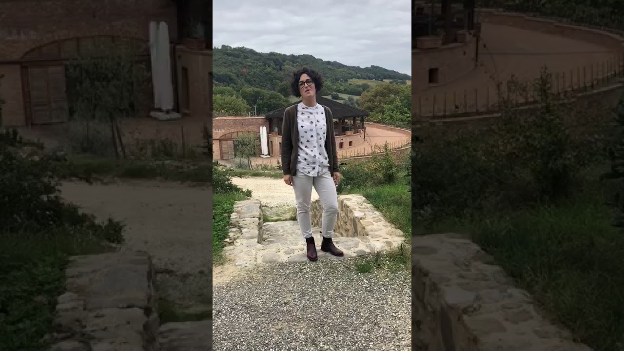 Podere Le Ripi   Montalcino