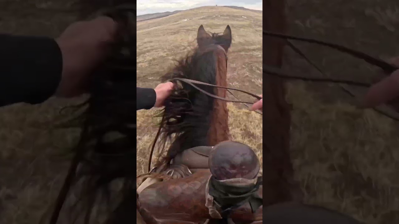 Going WIDE OPEN On A Fast Horse!!!