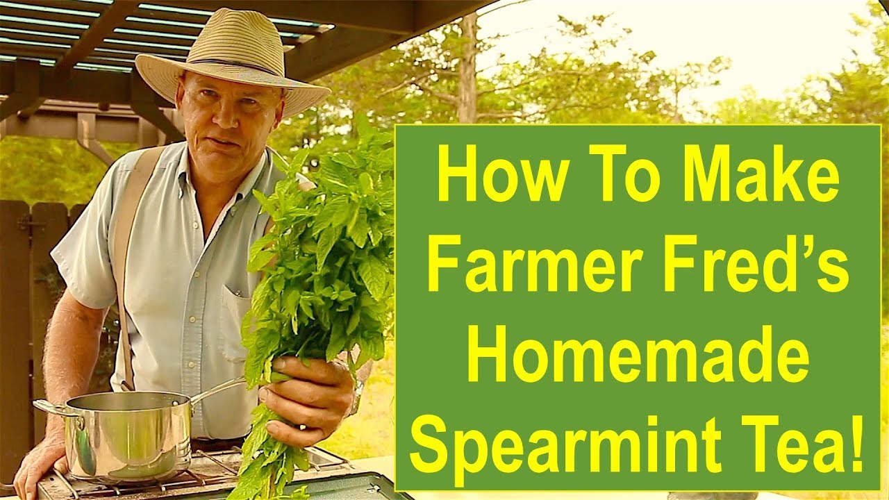 How To Make Farmer Fred's HOMEMADE Spearmint Tea!