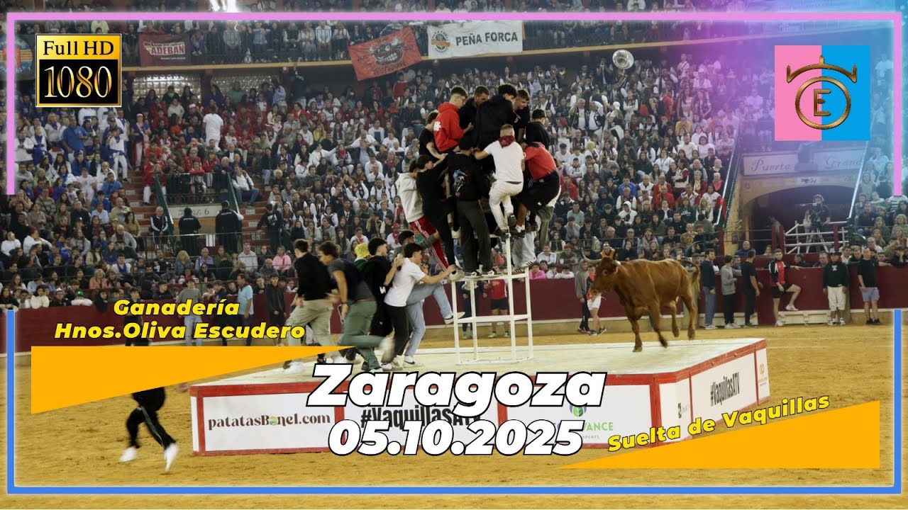Zaragoza 05/10/2025 Ganadería Hnos.Oliva Escudero