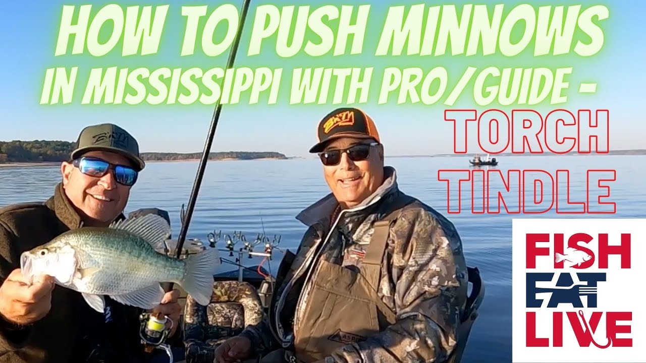 How to PUSH Minnows in Mississippi with Torch Tindle Fish Eat Live