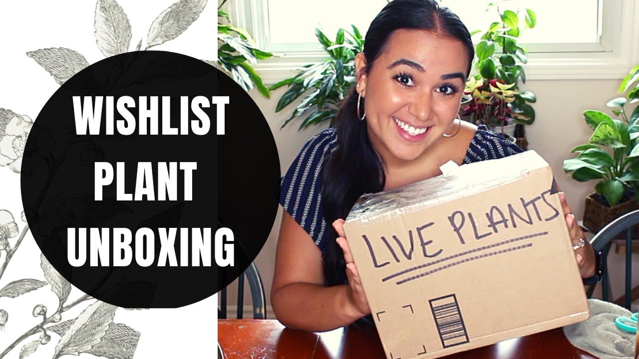 Chatty WISHLIST Houseplant Mail UNBOXING | How to Package Plants to Ship in Canada
