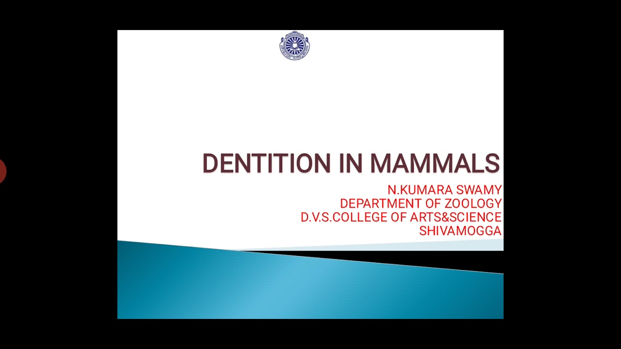 Dentition in Mammals