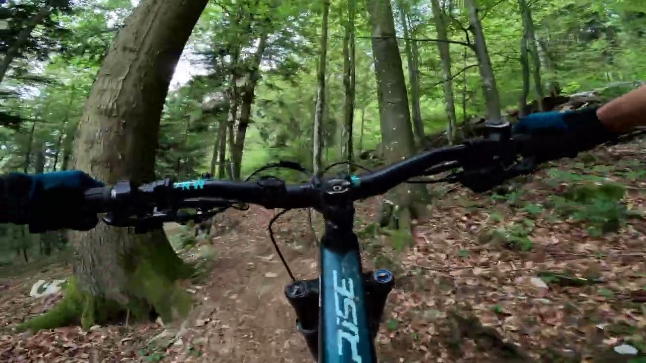 Slovenia - Kocevje Bike Park - Afternoon session - 18 July 2025