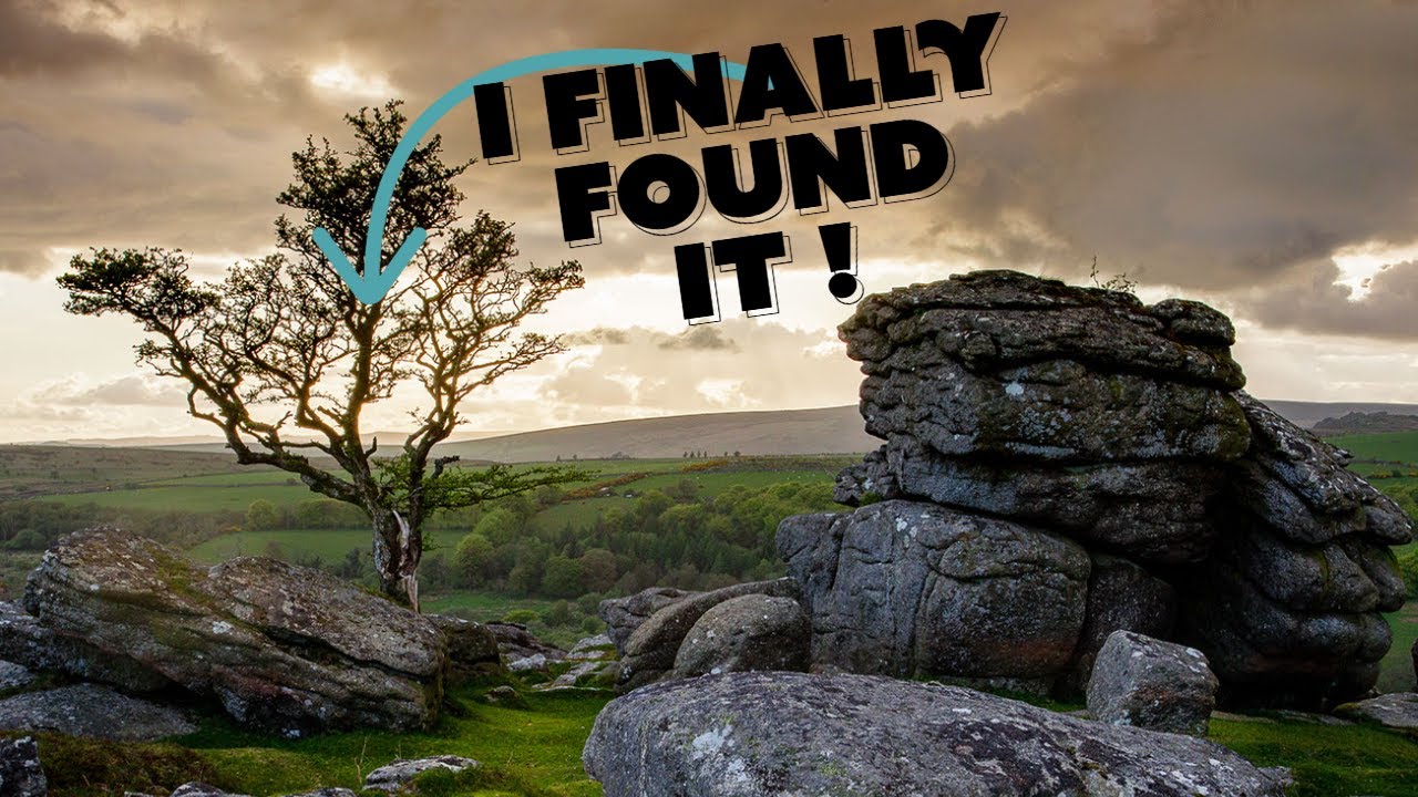Photographing the world famous hawthorn tree