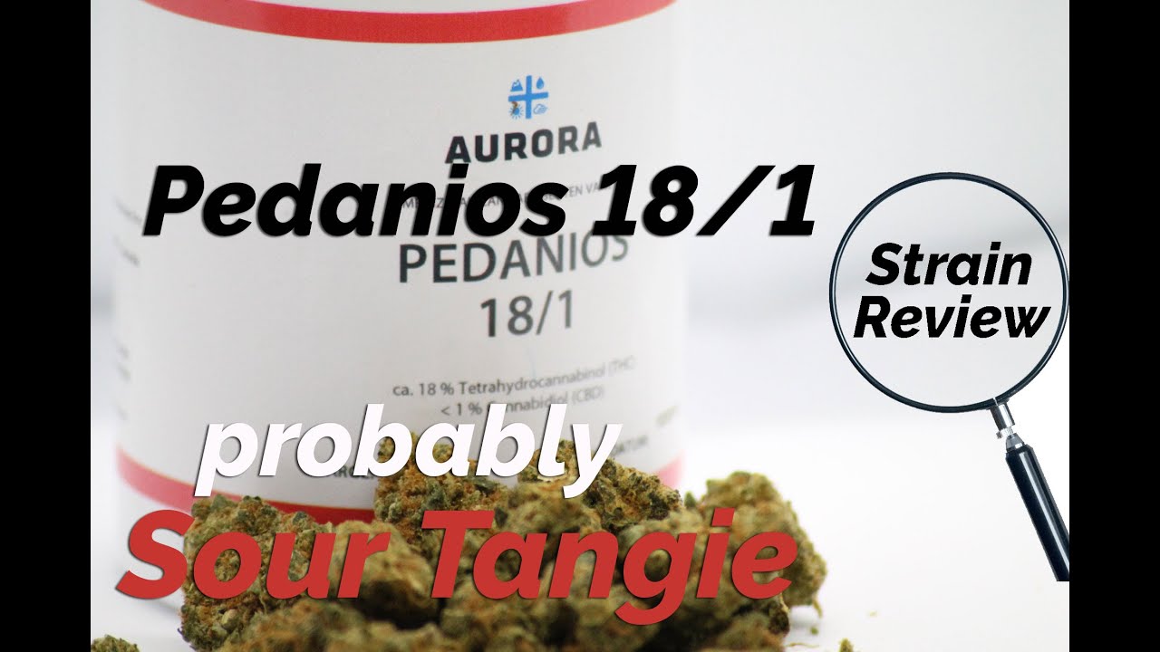 Pedanios 18/1 - Sour Tangie - Smell, taste, effect, terpen profile