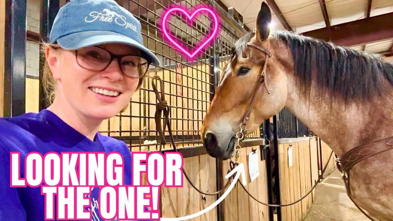 Auction Mission Begins! Searching For Our Next Horse