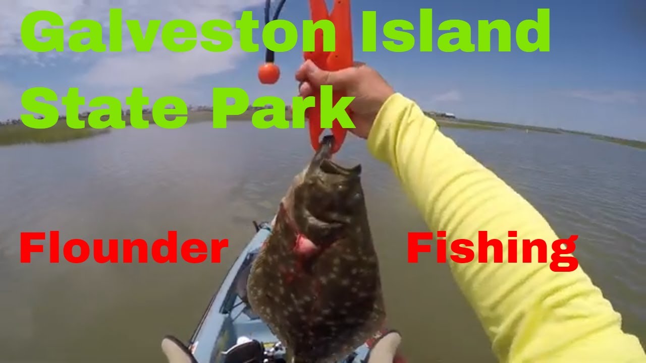 Galveston Island State Park Summer Flounders with Fishing Spot Location