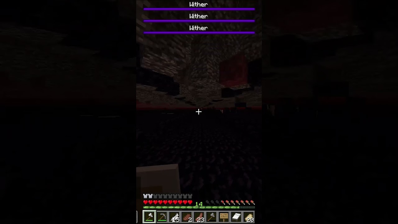 2b2t EpicZimbabwe #minecraft