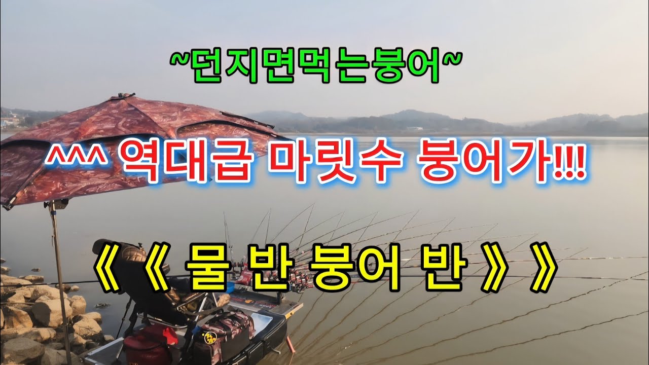 때아닌 갈수찬스 물반붕어반/#꾼의선택TV #대림낚시프라자 #임연식 #붕어낚시 