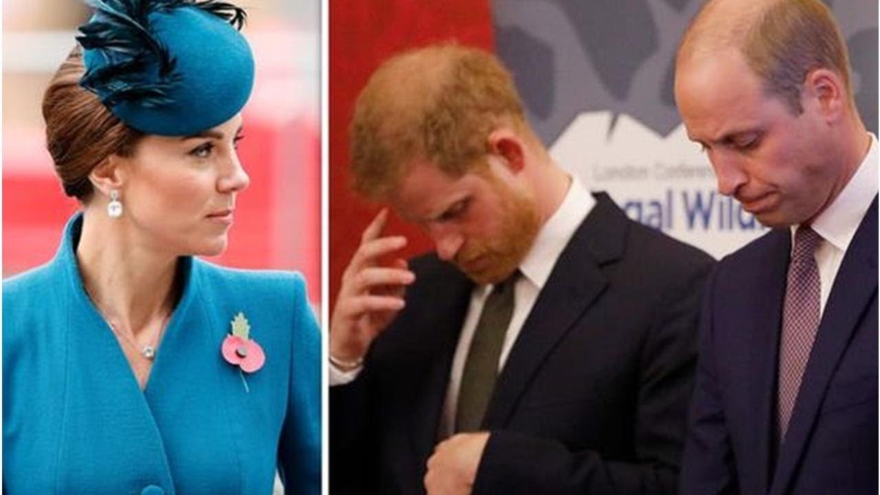 ROYAL FEUD: Kate STEPPED IN to mend &lsquo;disastrous row&rsquo; between Harry and William &ndash; insider