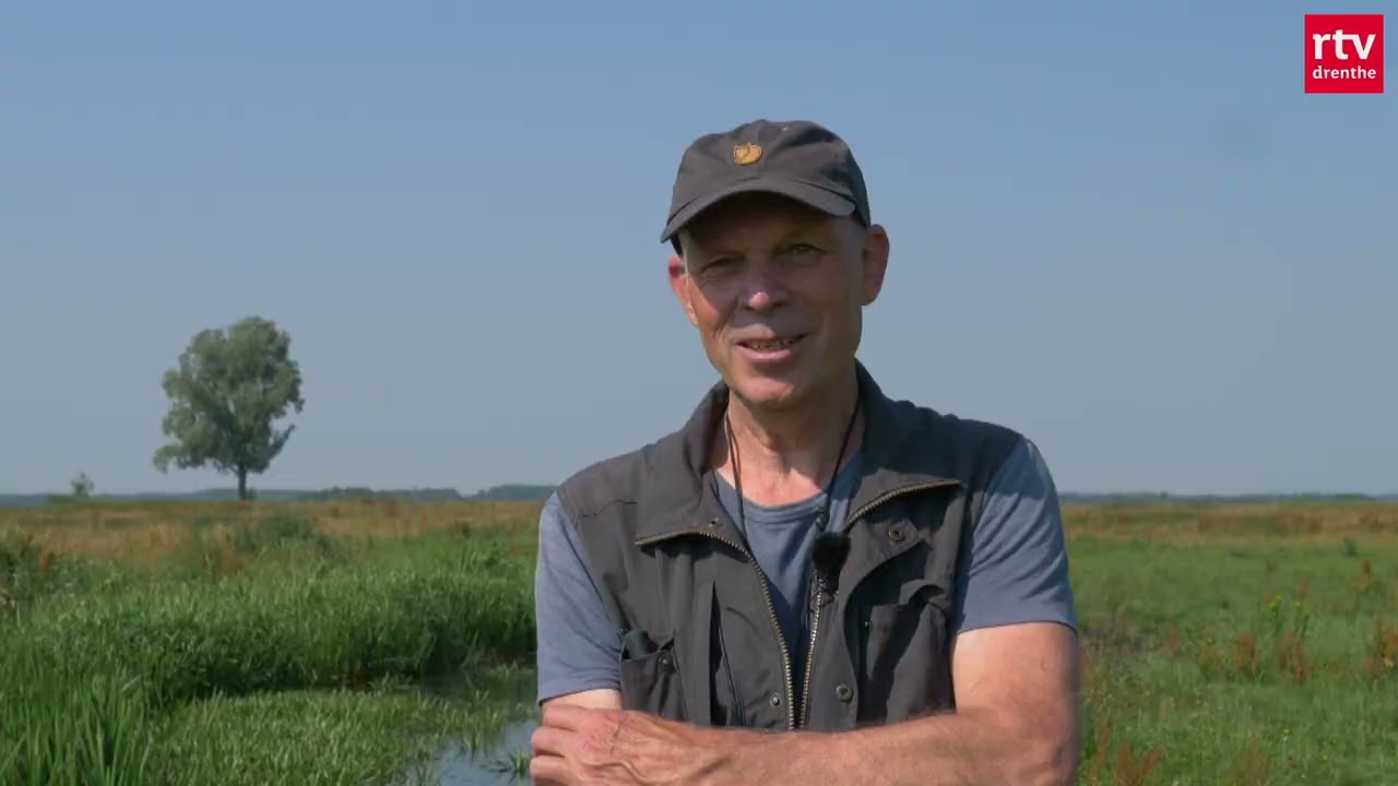 Veldwerk | Grote modderkruiper