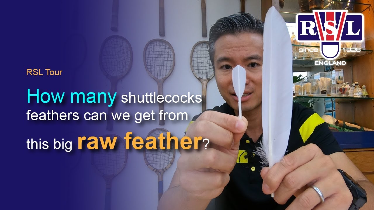 How many shuttlecocks feathers can we get from this big raw feather?