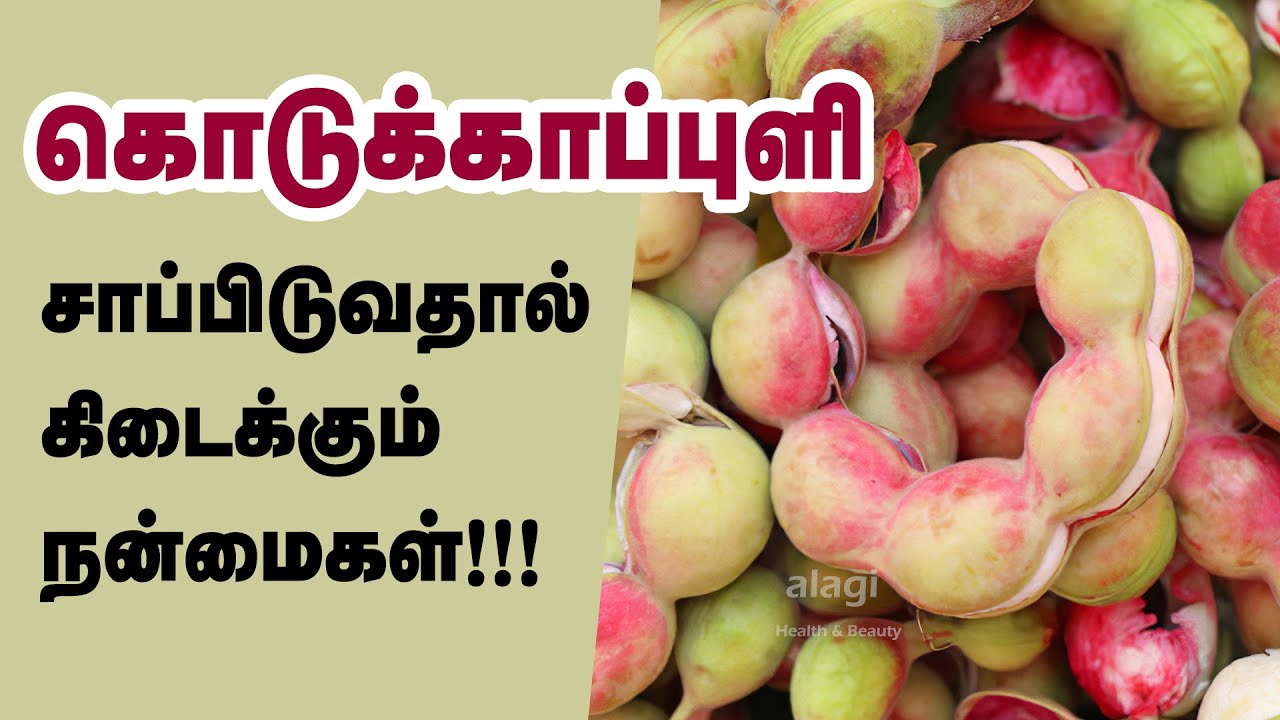 கொடுக்காப்புளி மருத்துவ பயன்கள் | Kodukapuli Health Benefits Tamil | Manila Tamarind | Health Tips