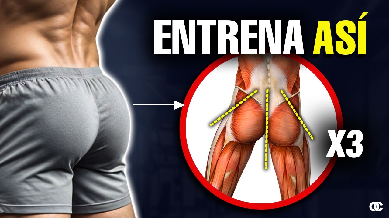 As&iacute; se entrenan las 3 partes del GL&Uacute;TEO &iexcl;Hazlo as&iacute;!