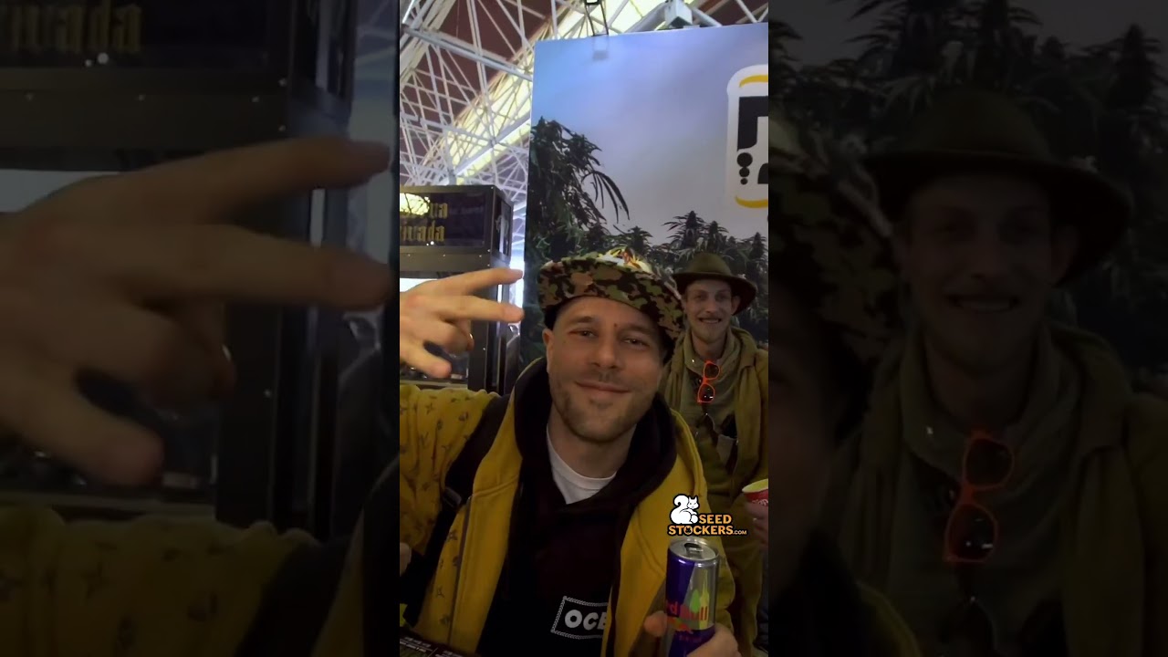 Spannabis 2025: The Best Highlights & A Bittersweet Farewell