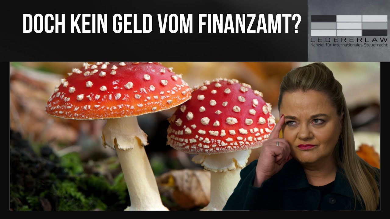 Muss ich das Corona Geld ans Finanzamt zurückzahlen? Lederer erklärt!