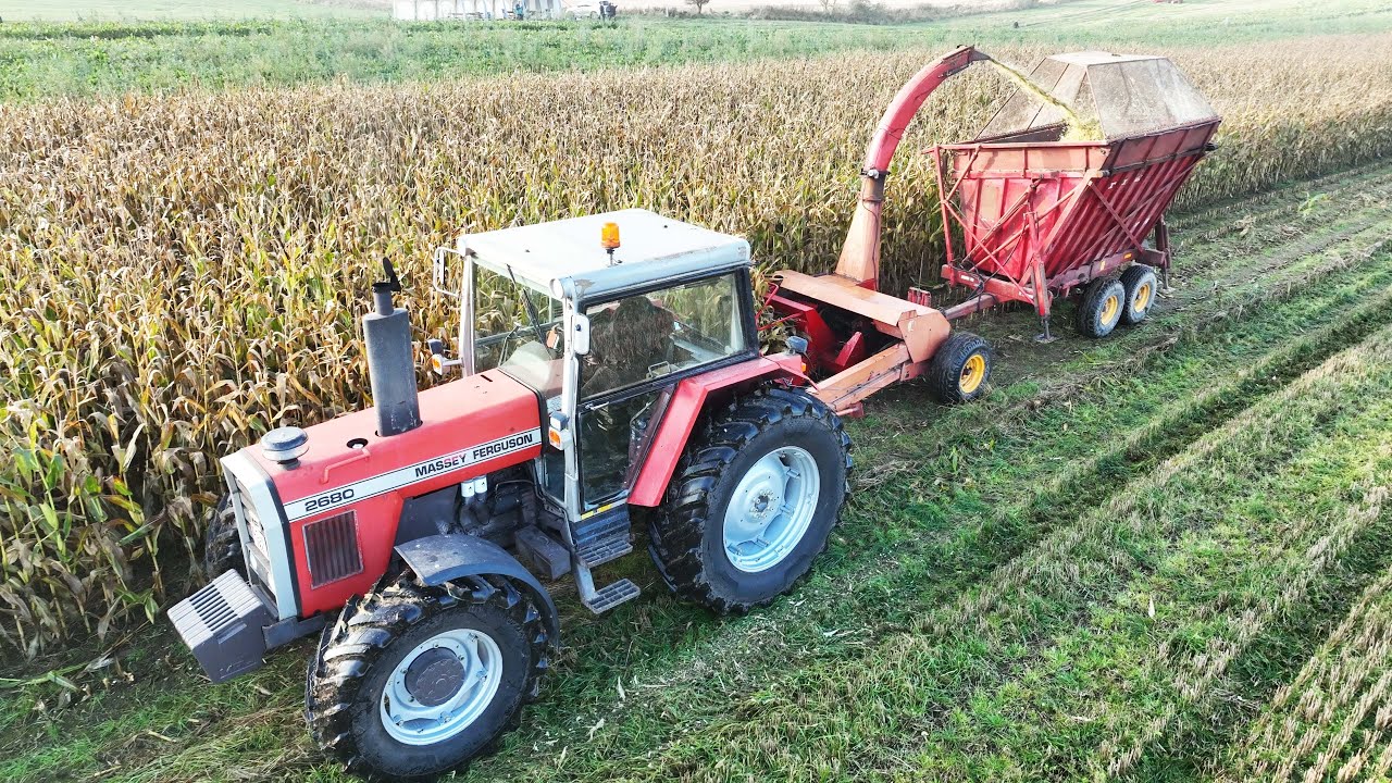 Massey Ferguson 2680 Chopping Corn