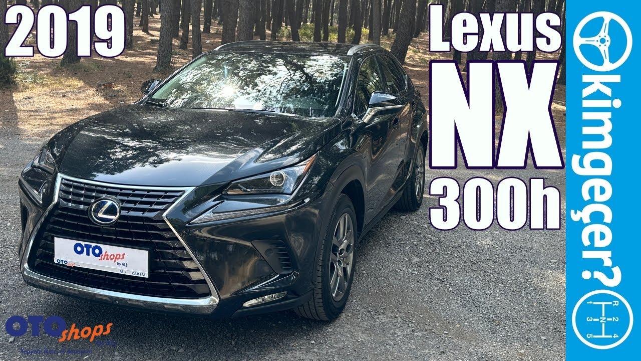 2019 Lexus NX300h