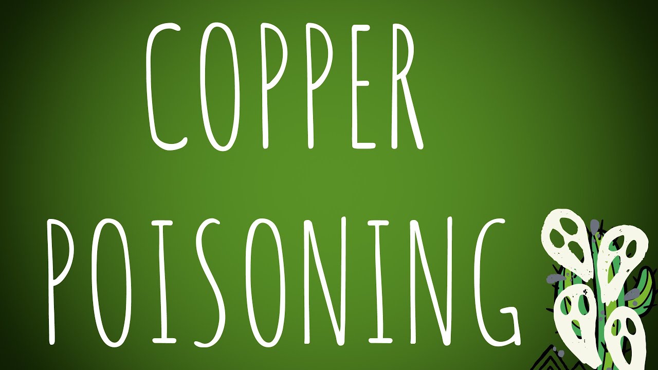 Toxicology- Copper Metallic Poisoning MADE EASY!