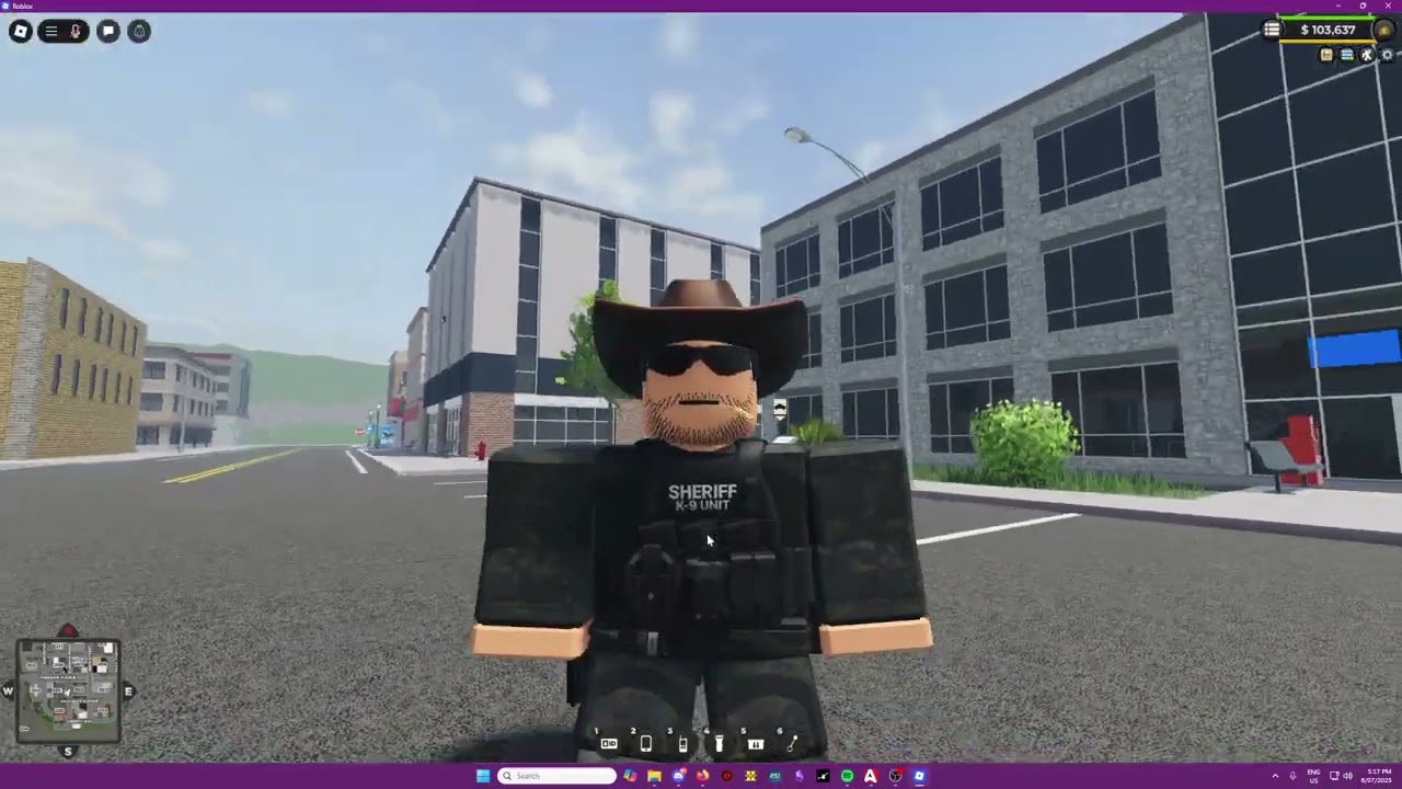 Setting up a Civilian Profile - Sonoran CAD