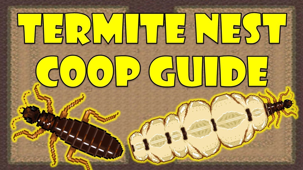 Termite Nest Coop Guide - Pocket Ants - Smart Daddy