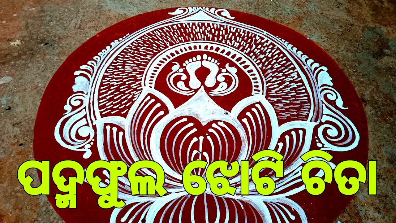 Manabasagurubar jhoti chita padma fula jhoti chita #alpana #rangoli #jhoti #kolam #kolamdesigns 🪷🪷🪷🪷