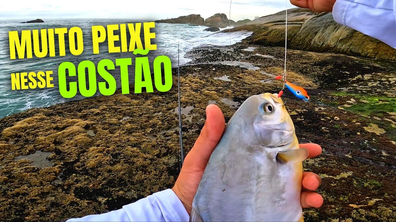 AQUI é um PARAÍSO da PESCA com MICRO JUMPING JIG - Pesca em Costão de Pedras