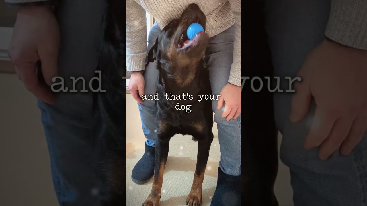 The One Animal That Knows No Selfishness: A Dog's Story 