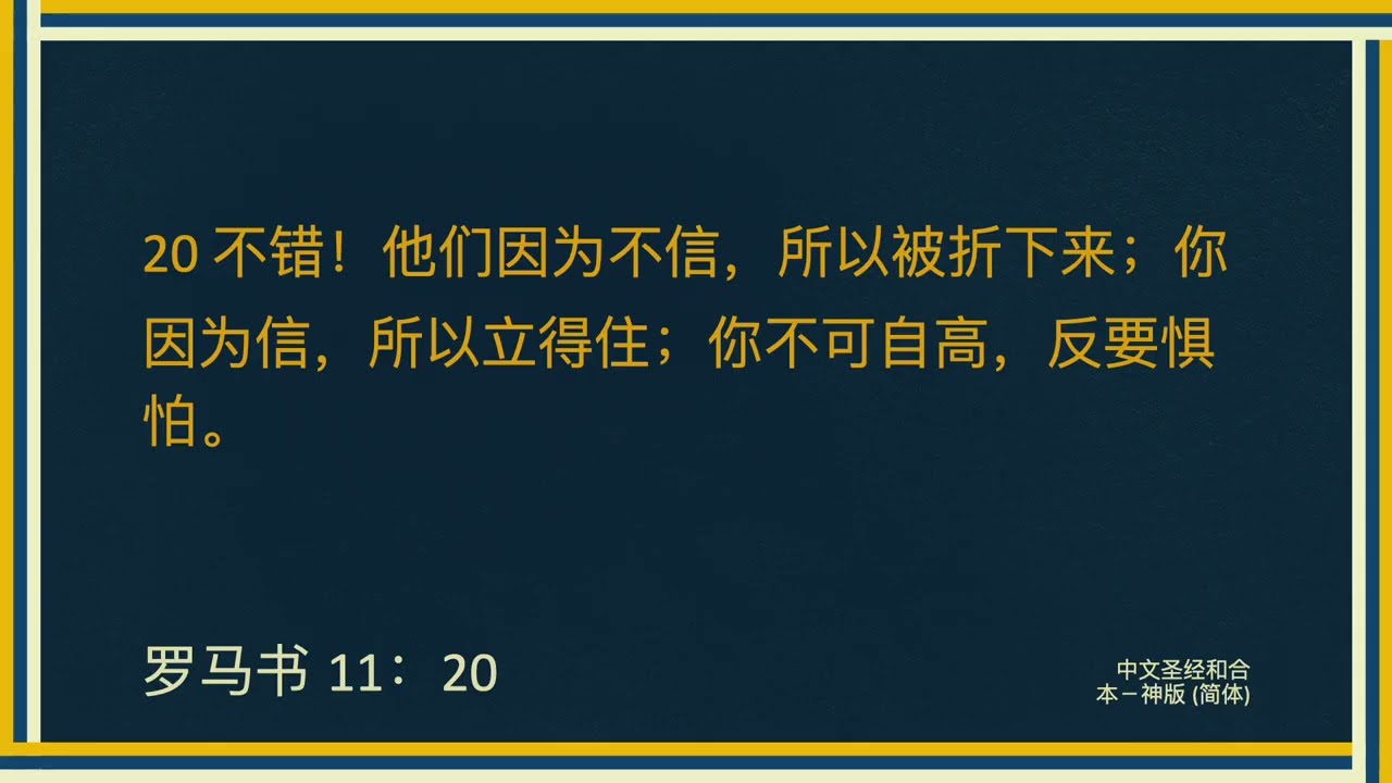 羅馬書（75）第四段：以色列與上帝拯救的計畫（十九）