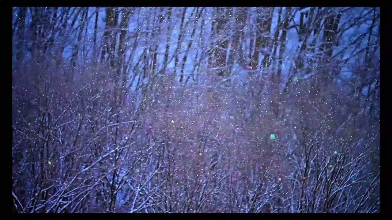 鑽石星塵