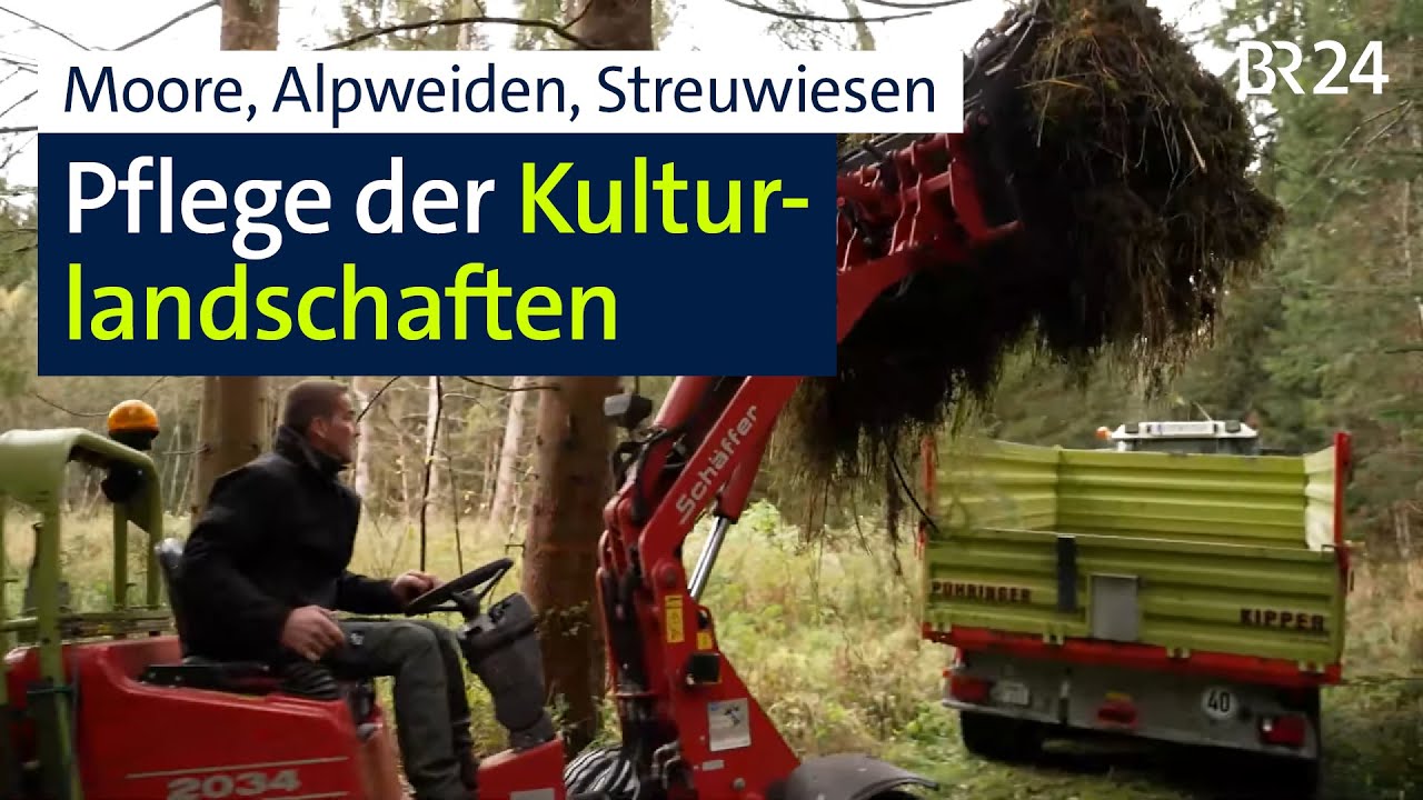Moore, Alpweiden, Streuwiesen: Geld f&uuml;r die Pflege der Fl&auml;chen wird knapp | Abendschau | BR24