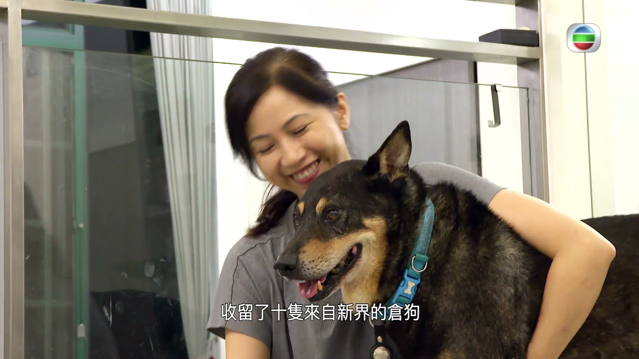 星期日檔案 - 家有犬兒