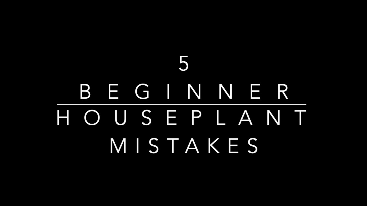 5 Beginner Houseplant Mistakes