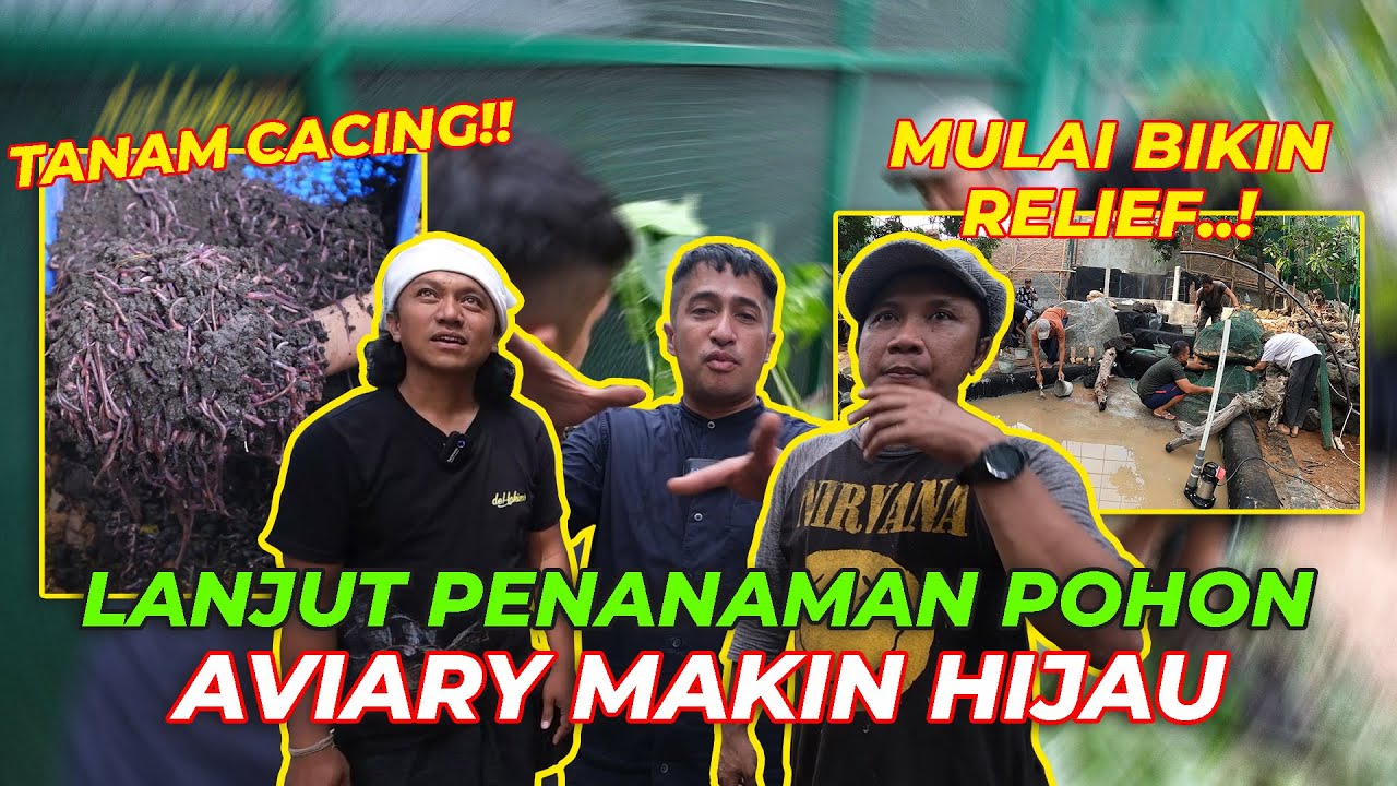 #EPS86 DEHAKIMS AVIARY | SEMAKIN RIMBUN DAN MEMBUAT AIR TERJUN MAKIN ALAMI